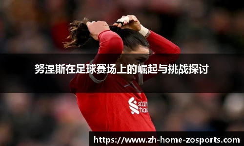 努涅斯在足球赛场上的崛起与挑战探讨